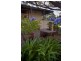 Kurrajong NSW 2758