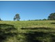 Kurrajong NSW 2758