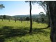Kurrajong NSW 2758