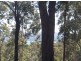 Surf Beach NSW 2536