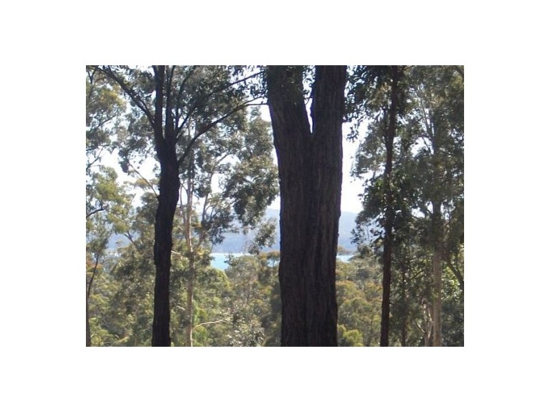 Surf Beach NSW 2536