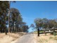 Surf Beach NSW 2536