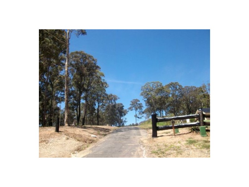 Surf Beach NSW 2536