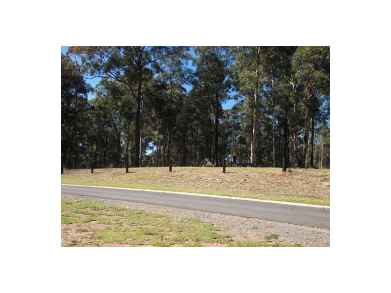 Surf Beach NSW 2536