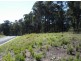 Surf Beach NSW 2536