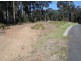 Surf Beach NSW 2536