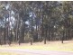 Surf Beach NSW 2536