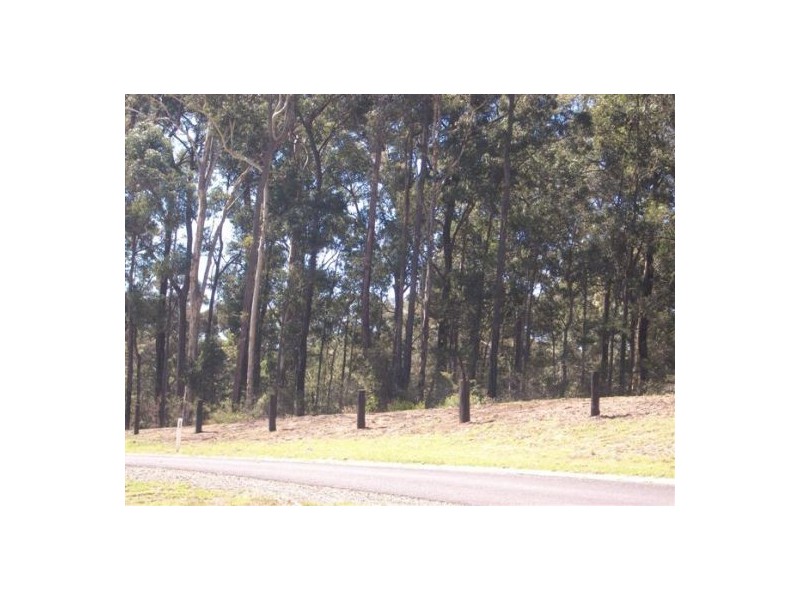 Surf Beach NSW 2536