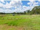 155 Old Pitt Town Road, Nelson NSW 2765