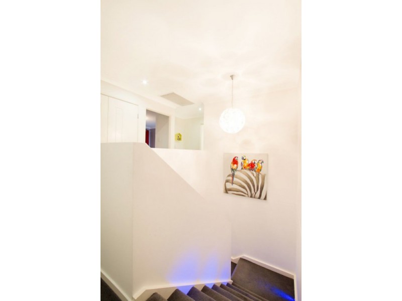 55 Macleay Circuit, Upper Coomera QLD 4209