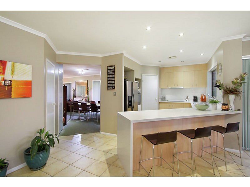 60 River Meadows Drive, Upper Coomera QLD 4209