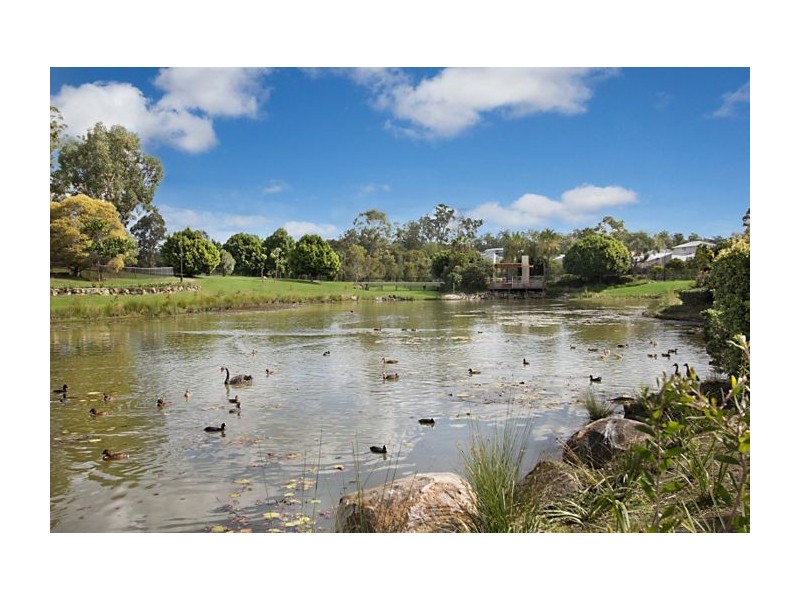 16 Greendragon Crescent, Upper Coomera QLD 4209