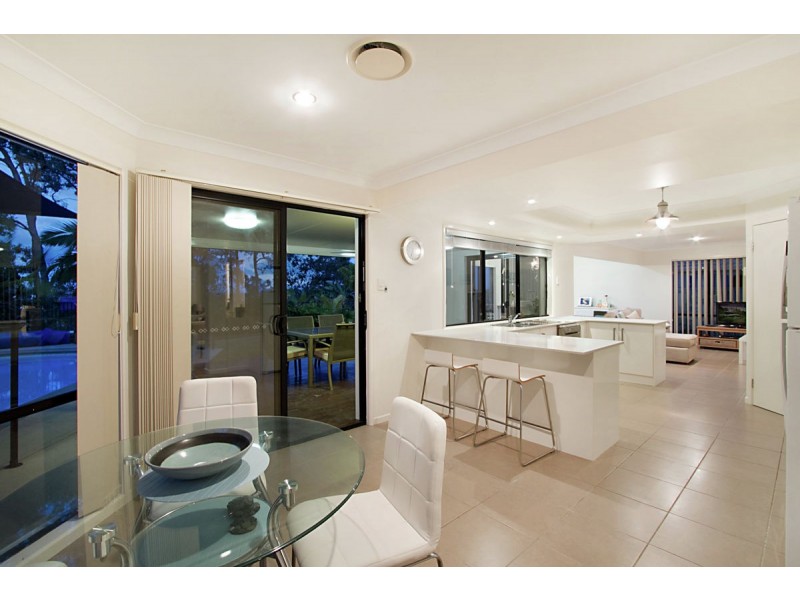 17 Cashew Court, Upper Coomera QLD 4209