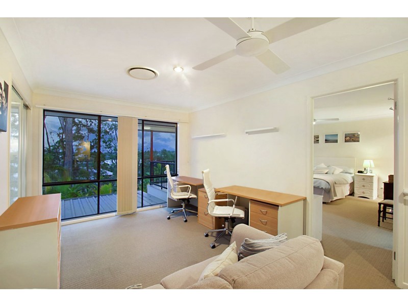 17 Cashew Court, Upper Coomera QLD 4209