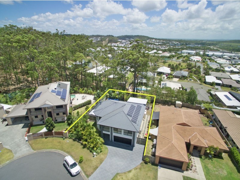 17 Cashew Court, Upper Coomera QLD 4209