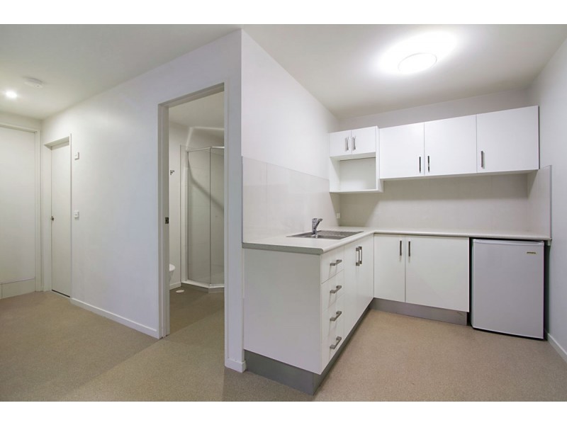 41 Candlebark Circuit, Upper Coomera QLD 4209