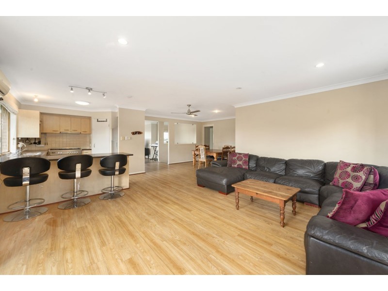 19 Serin Street, Upper Coomera QLD 4209