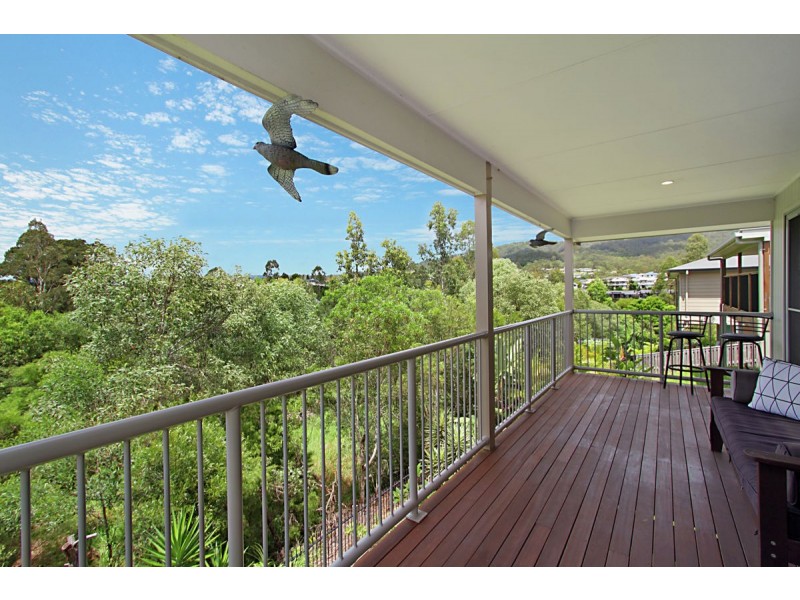 66 Wildflower Circuit, Upper Coomera QLD 4209
