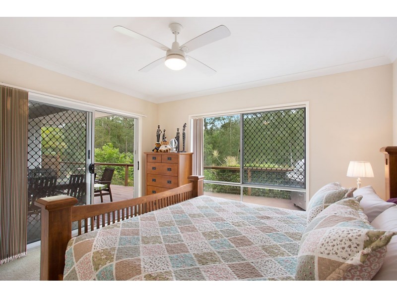 98 Treeline Circuit, Upper Coomera QLD 4209