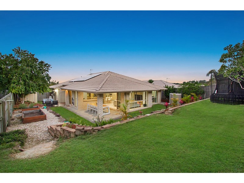 7 Treeline Circuit, Upper Coomera QLD 4209
