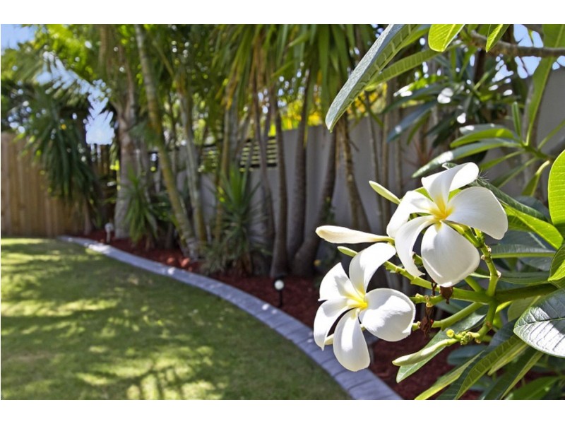 1 Ridgecrop Street, Upper Coomera QLD 4209