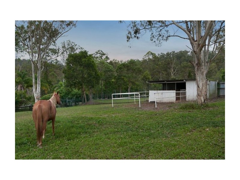 65 Kriedeman Rd, Upper Coomera QLD 4209