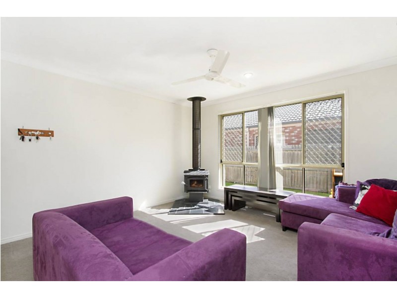 54 Glentree Avenue, Upper Coomera QLD 4209