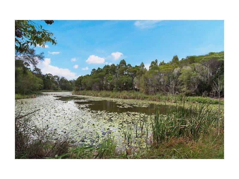 24 Bella Boulevard, Pimpama QLD 4209