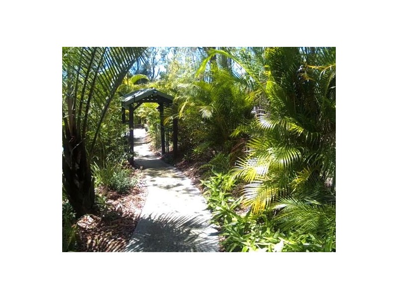 Holland Park QLD 4121