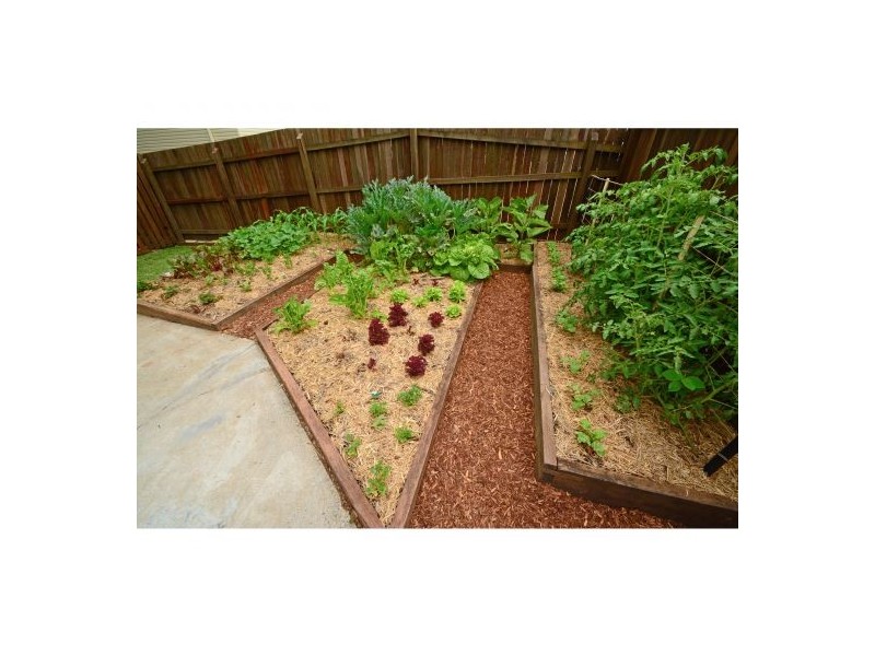 52 Verbena Street, Mount Gravatt QLD 4122