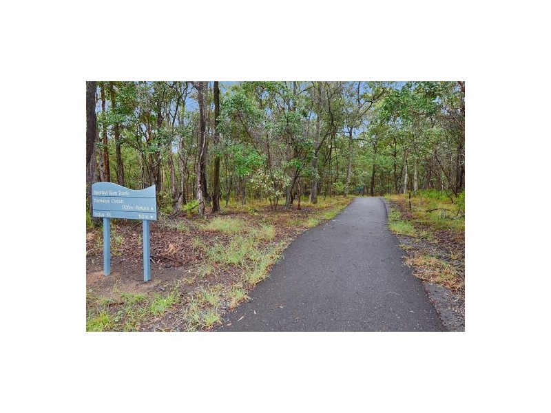 103 Indus Street, Camp Hill QLD 4152