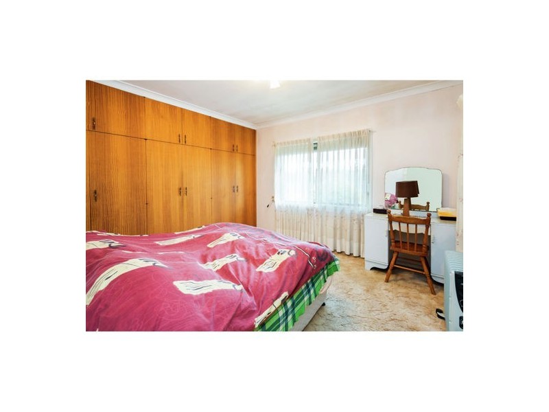 131 Harold Street, Holland Park QLD 4121