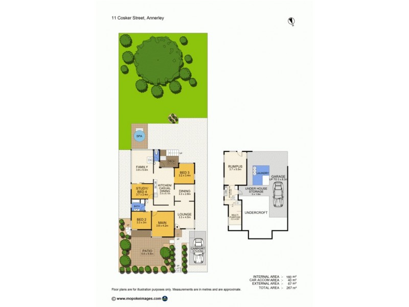 11 Cosker Street, Annerley QLD 4103 Floorplan