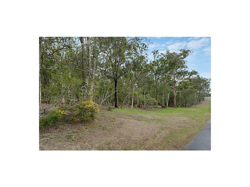 19 AMETHYST ST, Holland Park QLD 4121