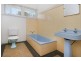 124 Holland Road, Holland Park QLD 4121