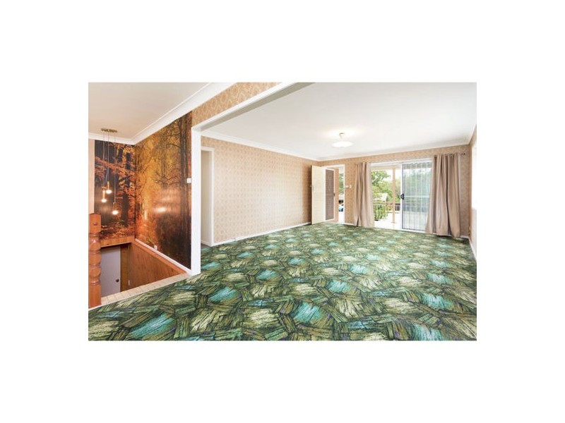 855 Cavendish Road, Holland Park QLD 4121