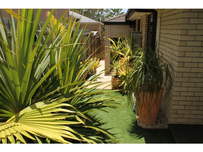 6 Fortescue Court, Mount Gravatt East QLD 4122