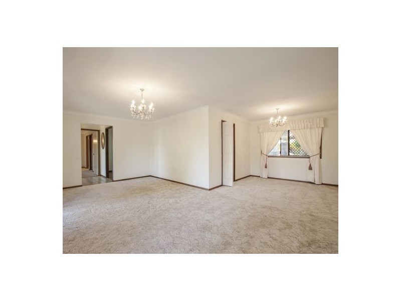 19 Teagarden Street, Eight Mile Plains QLD 4113