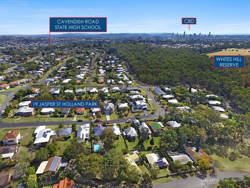 19 Jasper Street, Holland Park QLD 4121