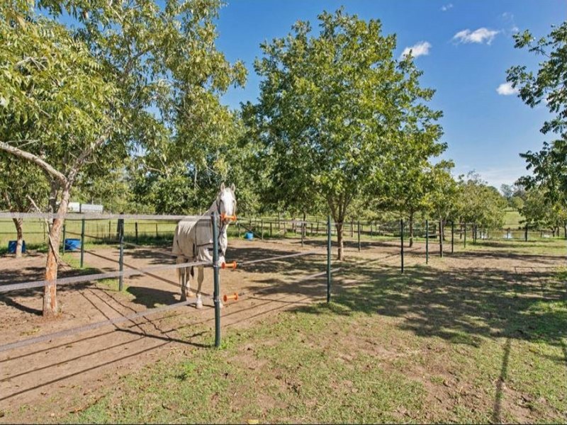 304-310 Leopardwood Road, Cedar Grove QLD 4285