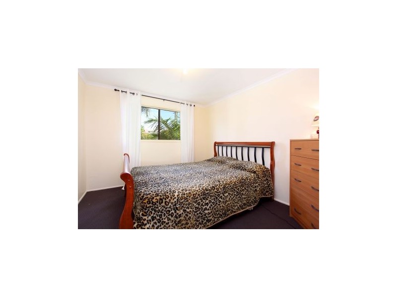 104 Leicester Street, Coorparoo QLD 4151