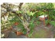 104 Leicester Street, Coorparoo QLD 4151