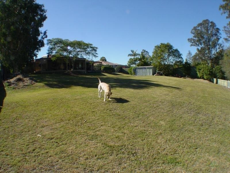 48 Yvonne Cres, Mount Warren Park QLD 4207