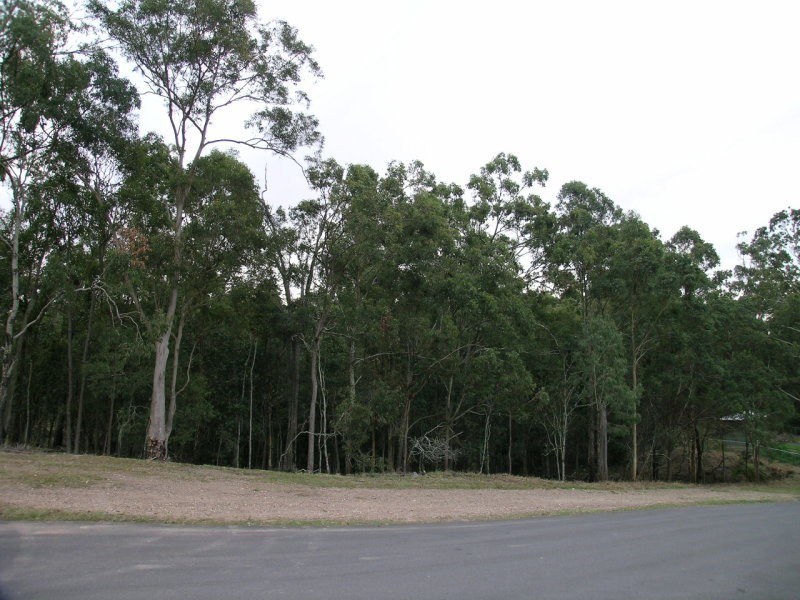 37 Carnelian St, Holland Park QLD 4121