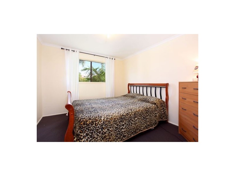 104 Leicester Street, Coorparoo QLD 4151