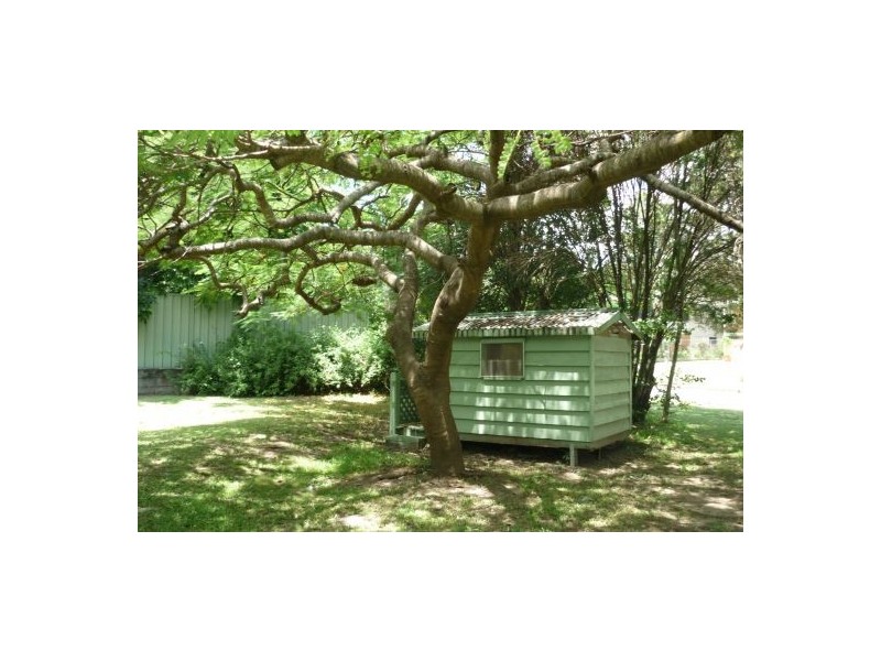 41 Steele Street, Holland Park QLD 4121