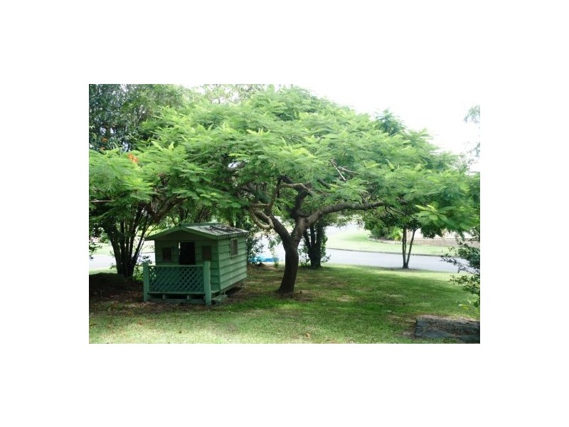 41 Steele Street, Holland Park QLD 4121