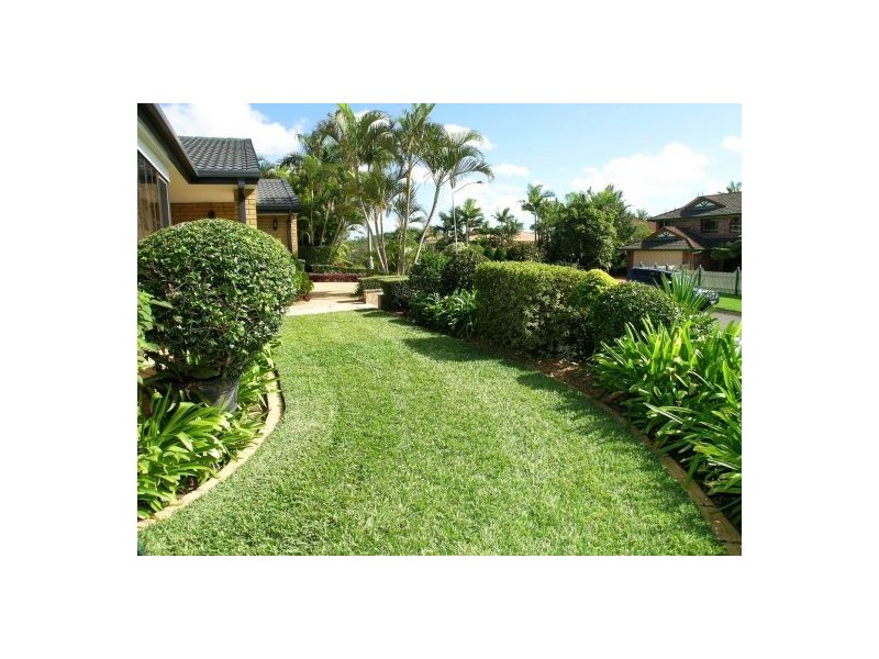 19 Allamanda Place, Mount Gravatt East QLD 4122