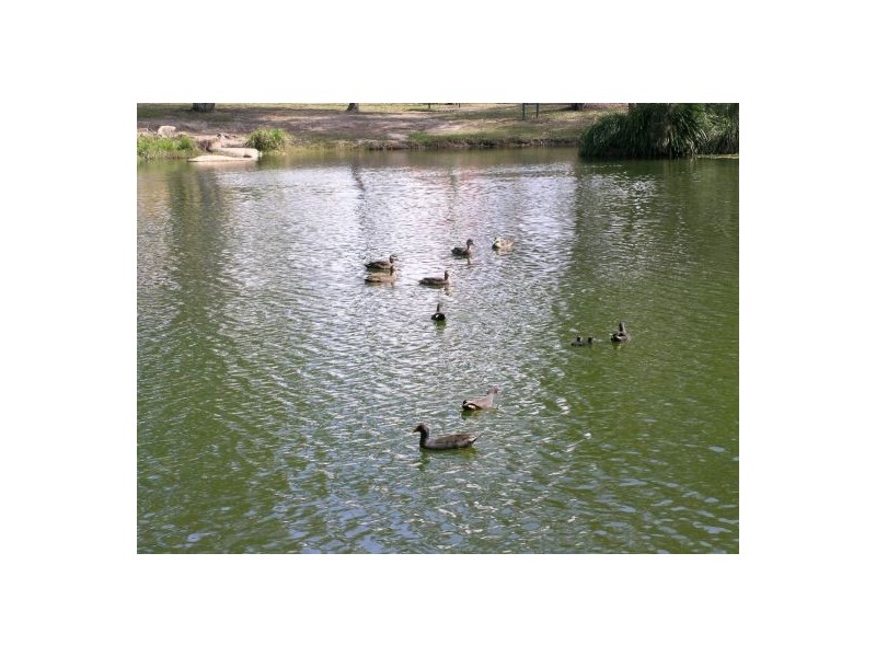 34 Larapinta Circuit, Parkinson QLD 4115