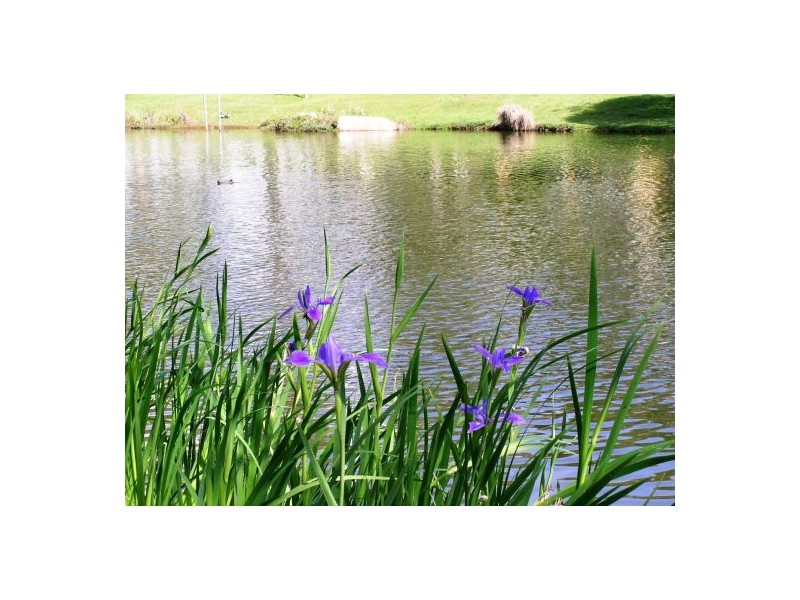 34 Larapinta Circuit, Parkinson QLD 4115